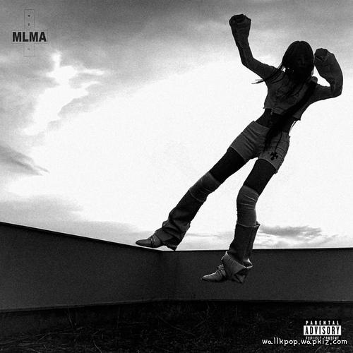 MLMA - FINN.mp3