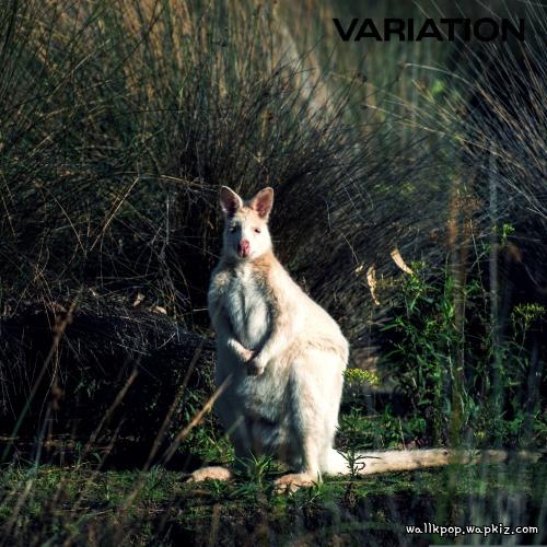 dubdubee - Mono.mp3