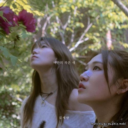 My Little Bird (feat. Cho Seungyeon) by Seyan Kim