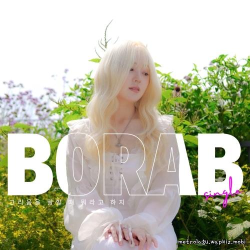 BORA B - 그리움을 말할 때 뭐라고 하지 (Missing Words).mp3