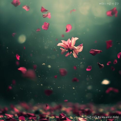 Bae Woori - 지금 이 순간 (At This Moment).mp3