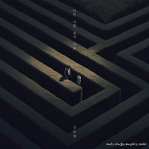Kim Donghyun - 다른 사람 찾지 마요 (No One Else).mp3
