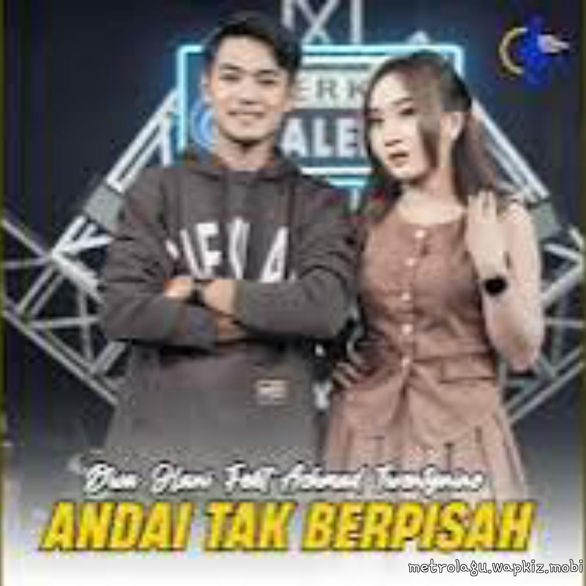 Cover album Andai Tak Berpisah dari Diva Hani Ft Achmad Twentynine di Matikiri