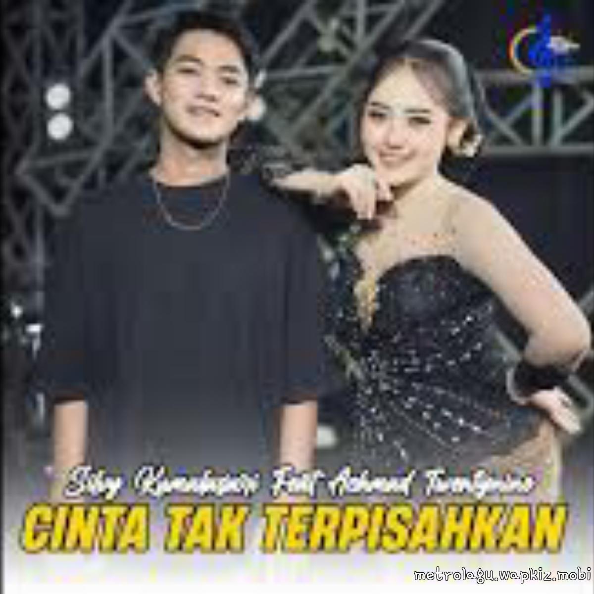 Cover album Cinta Tak Terpisahkan dari Silvy Kumalasari Feat Achmad Twentynine di Matikiri