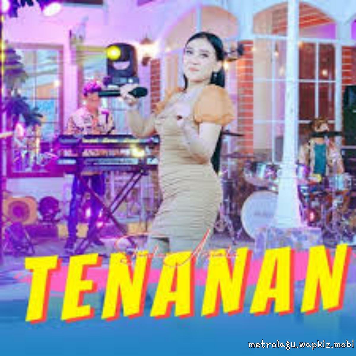 Cover album Tenanan - Aneka Safari dari Shinta Arsinta di Matikiri