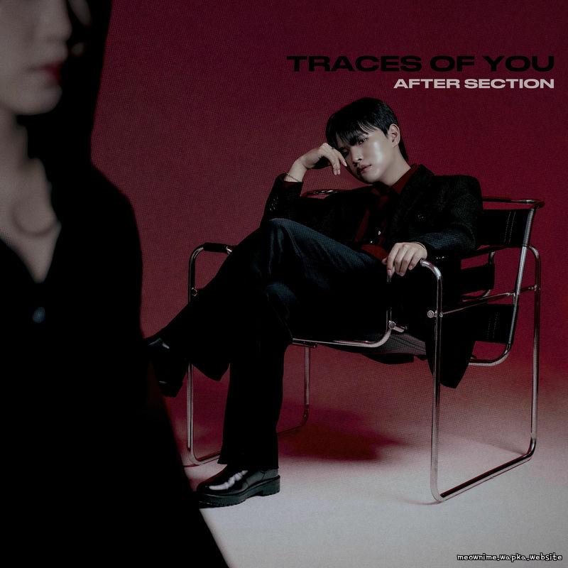 After Section - Traces of You.mp3