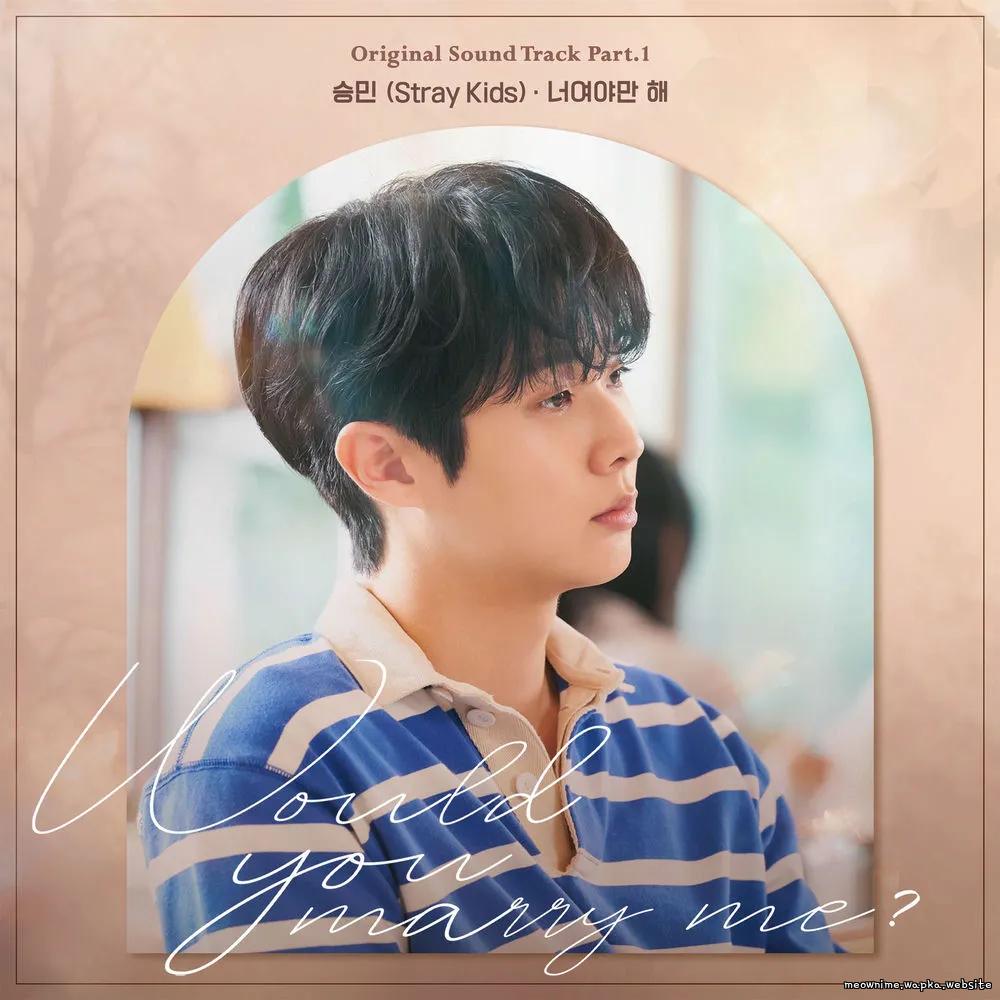 Seungmin (Stray Kids) - 너여야만 해 (All I Want Is You).mp3