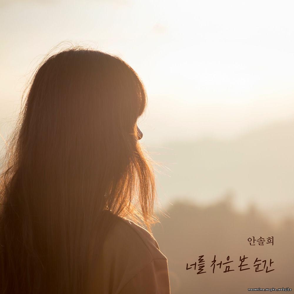 Ahn Sol Hee - 너를 처음 본 순간 (The moment I saw you for the first time).mp3
