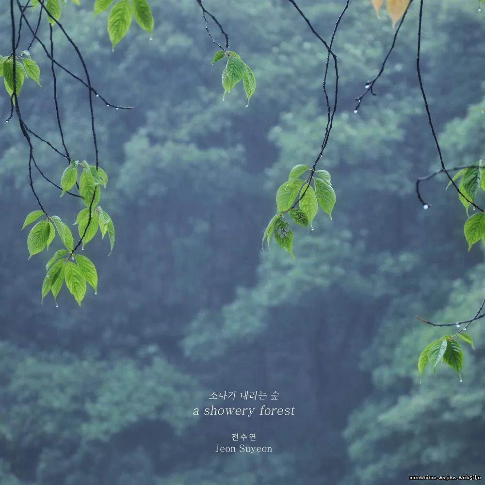 Jeon Su Yeon - 소나기 내리는 숲 (a showery forest).mp3
