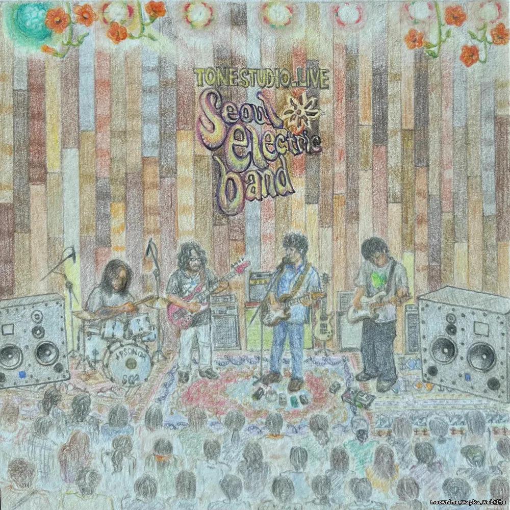 Seoul Electric Band - 따라가면 좋겠네 (Wish to follow) (Live).mp3