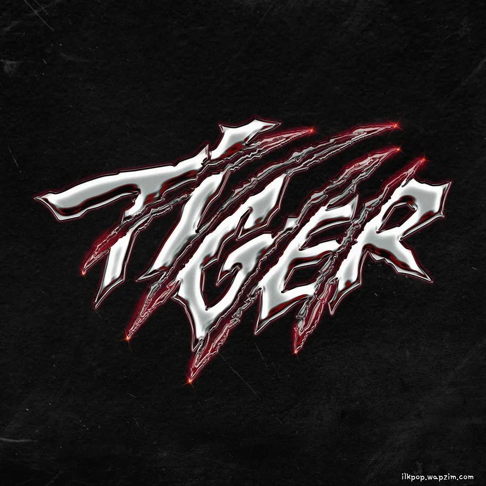 Tiger by THE BOYZ