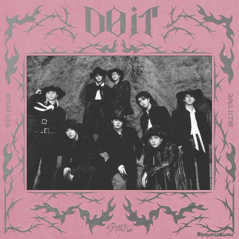 Stray Kids - Do It (Festival Version).mp3