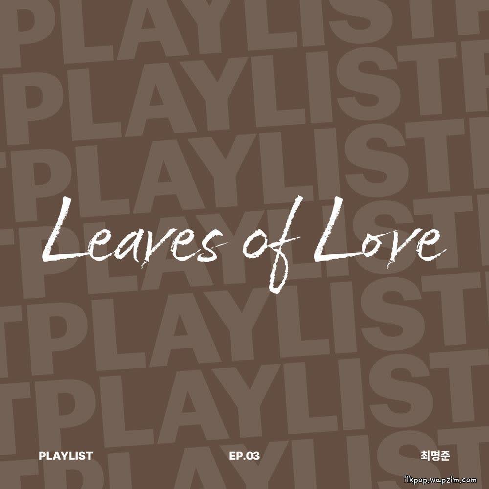 Choi Myung Joon - Leaves of Love.mp3