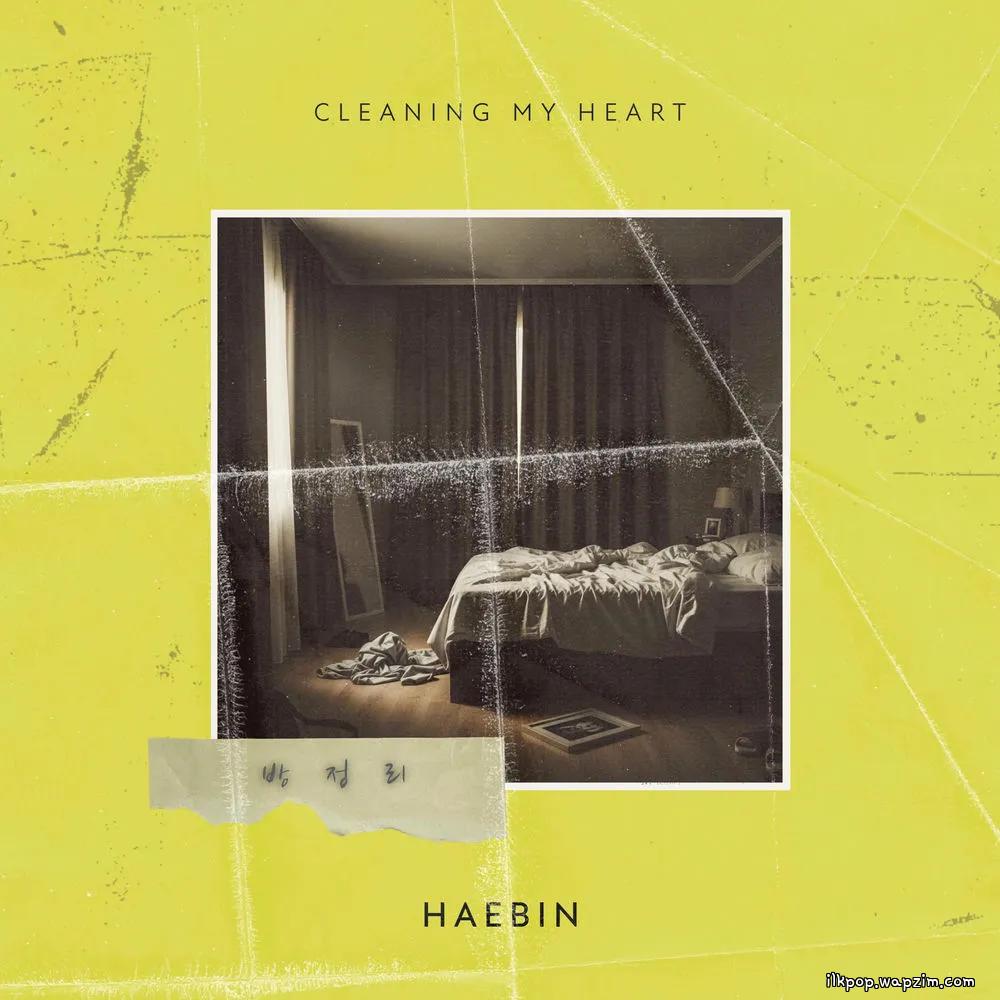 HAEBIN - 방정리 (Cleaning My Heart).mp3