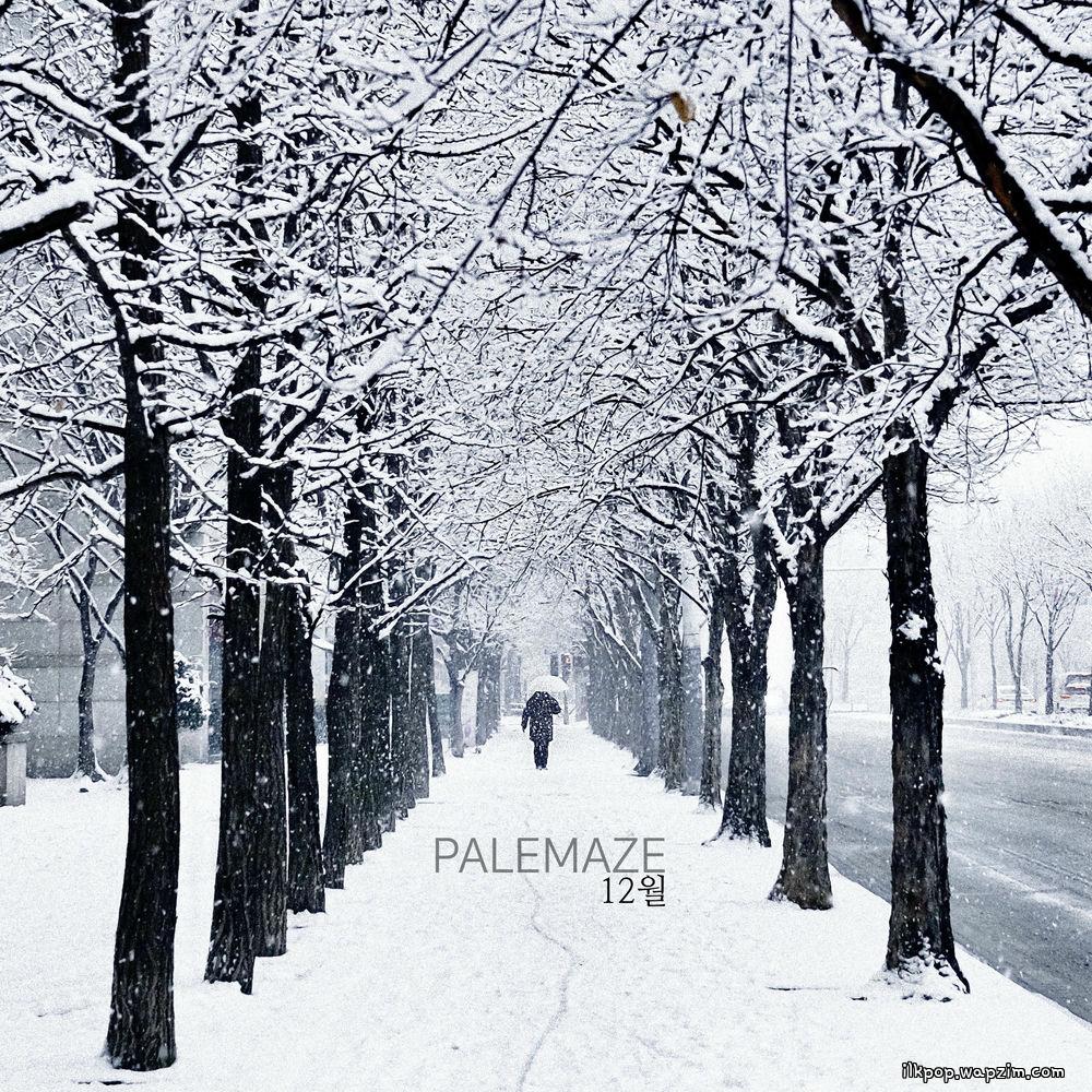 PALE MAZE - 12월 (December).mp3