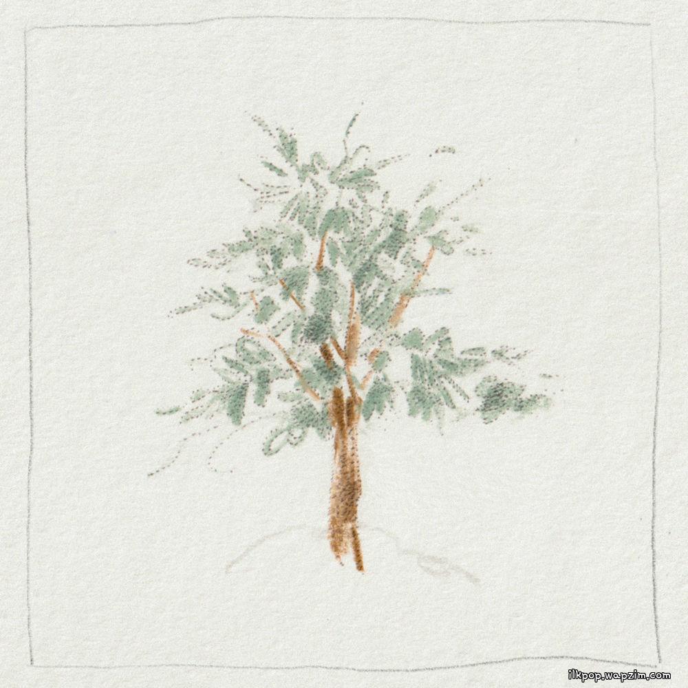 Kim Hyeonsu - 삼나무 (Cedar).mp3