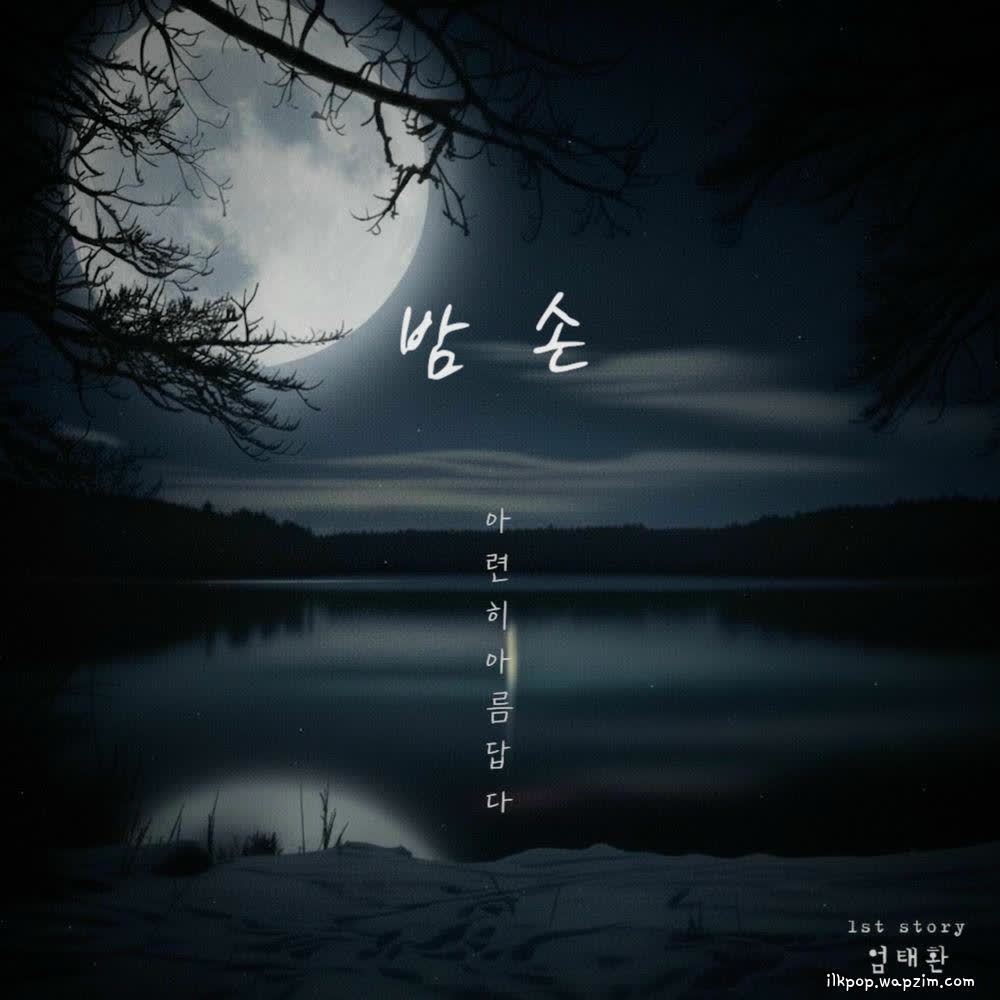 Taehwan Um - 밤손 (아련히 아름답다) (Guest of the Night).mp3