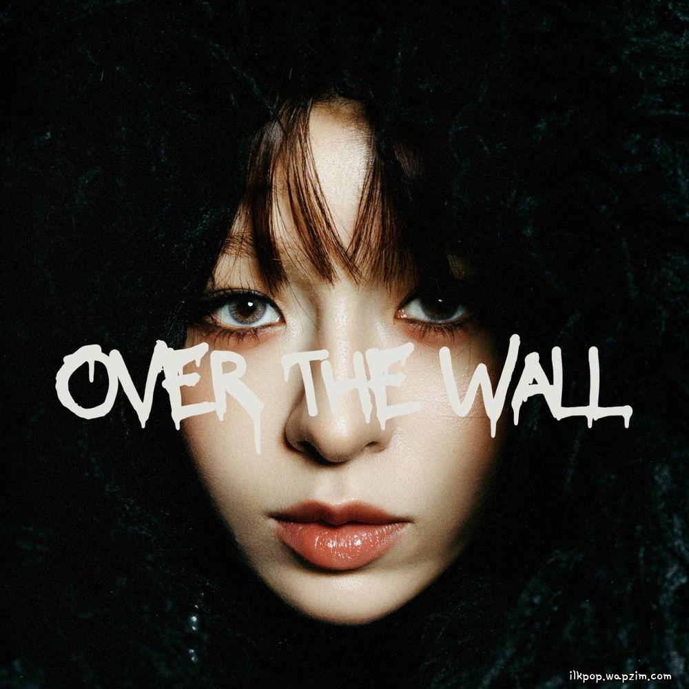 NIKA - Over The Wall (with sEODo).mp3