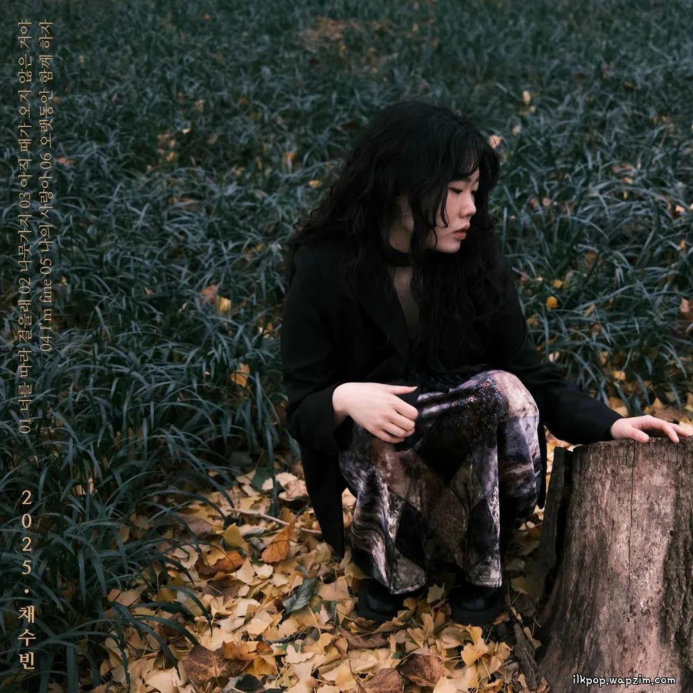 Chae Soobin - 나뭇가지 (The Branch).mp3
