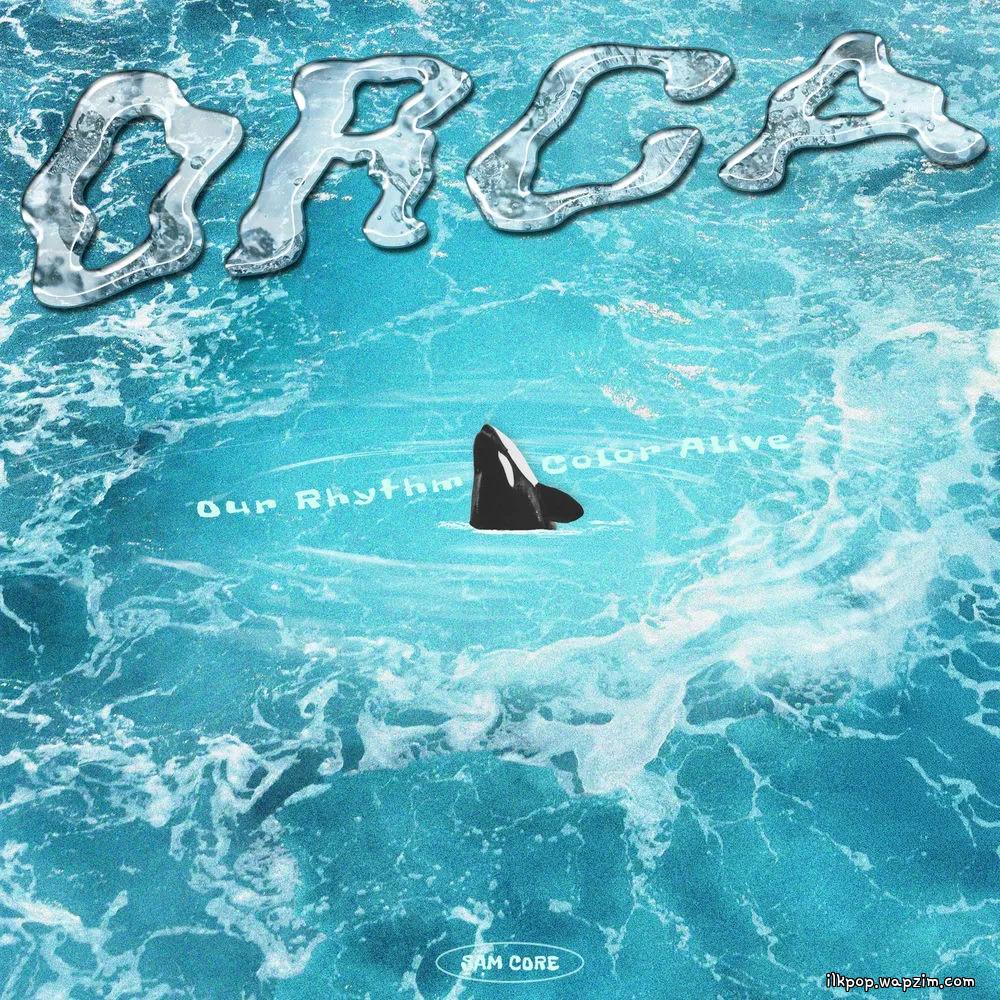 Sam Core - ORCA.mp3