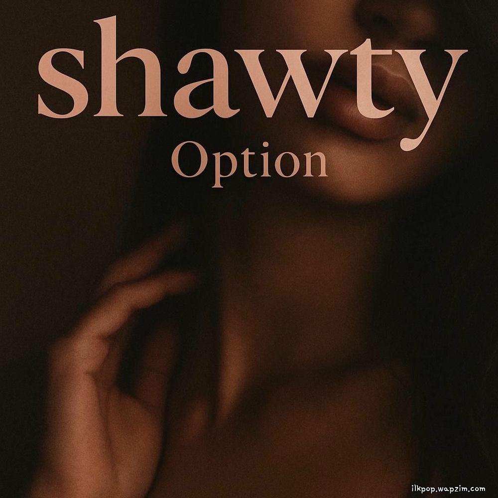 Option - shawty.mp3