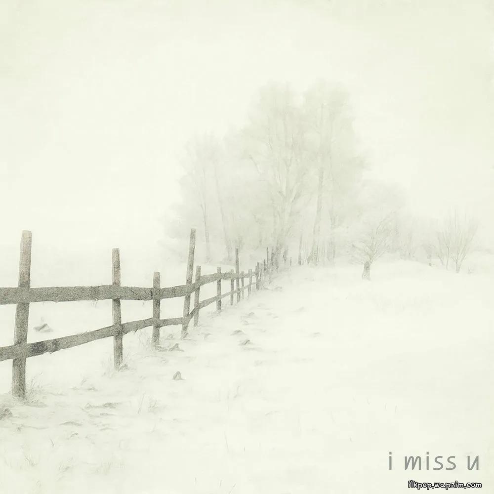 Danwol - i miss u.mp3