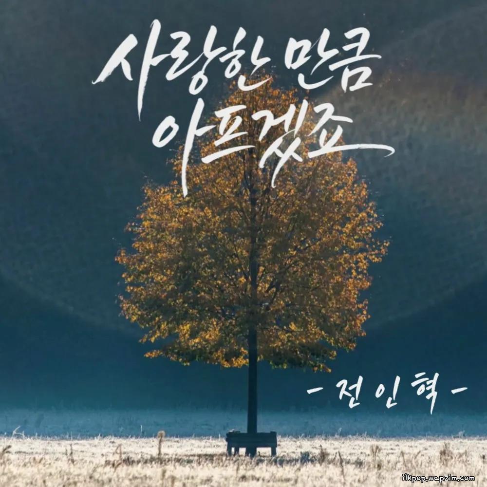 JEON IN HYUK - 사랑한 만큼 아프겠죠 (AS Much as I Loved).mp3
