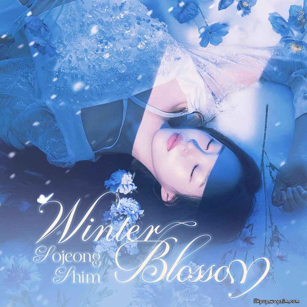 So Jeong Shim - Winter Blossom.mp3