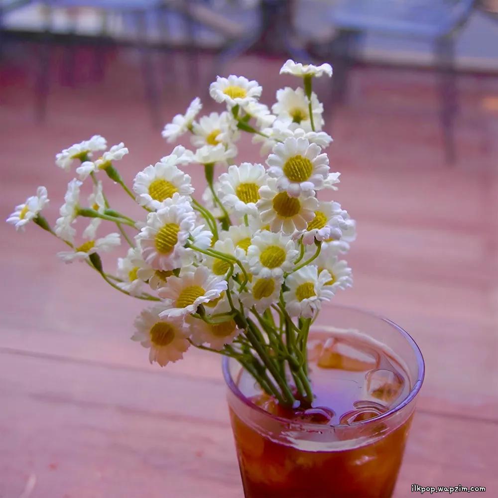 JayBrown - 내 마음은 커피 (Coffee and a Daisy).mp3