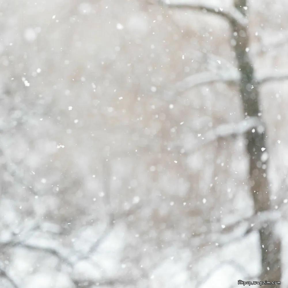 Grynia - 하루 종일 눈이 내려요 (It's snowing all day).mp3