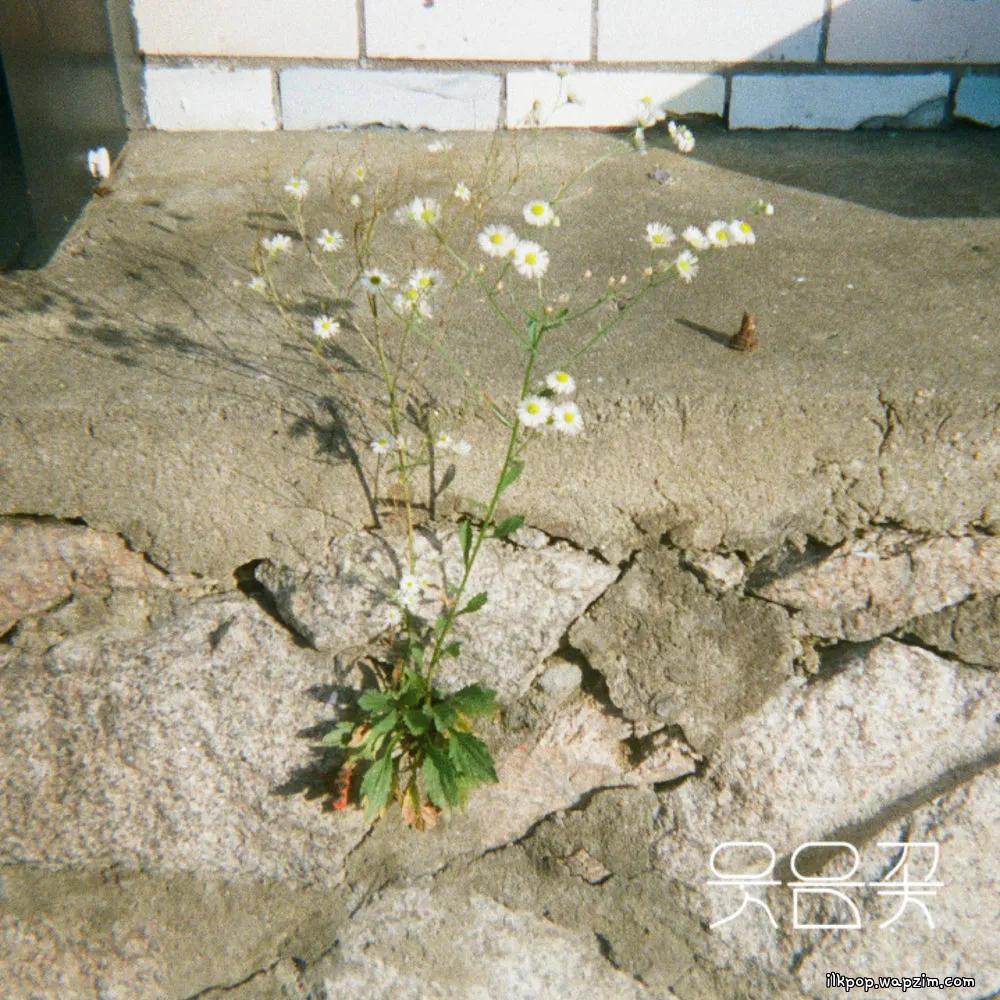 Wooden Lee - 웃음꽃 上 (Smiles Bloomed – Pt. 1).mp3