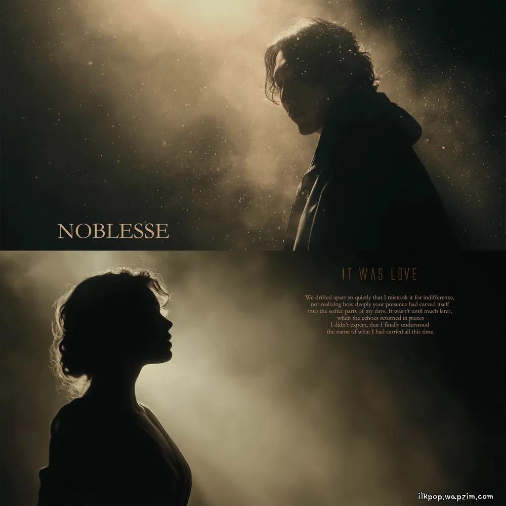Noblesse - 사랑이었다.mp3