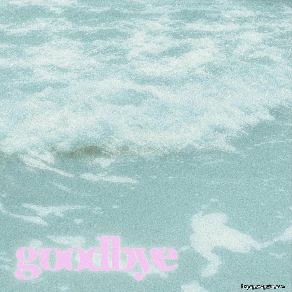 DEW - Goodbye.mp3