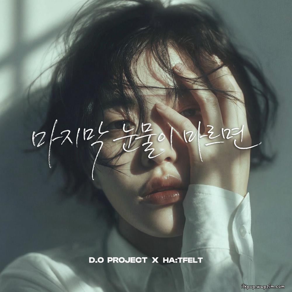 D.O - 마지막 눈물이 마르면 (When the Last Tear Dries) [Feat. HA:TFELT].mp3