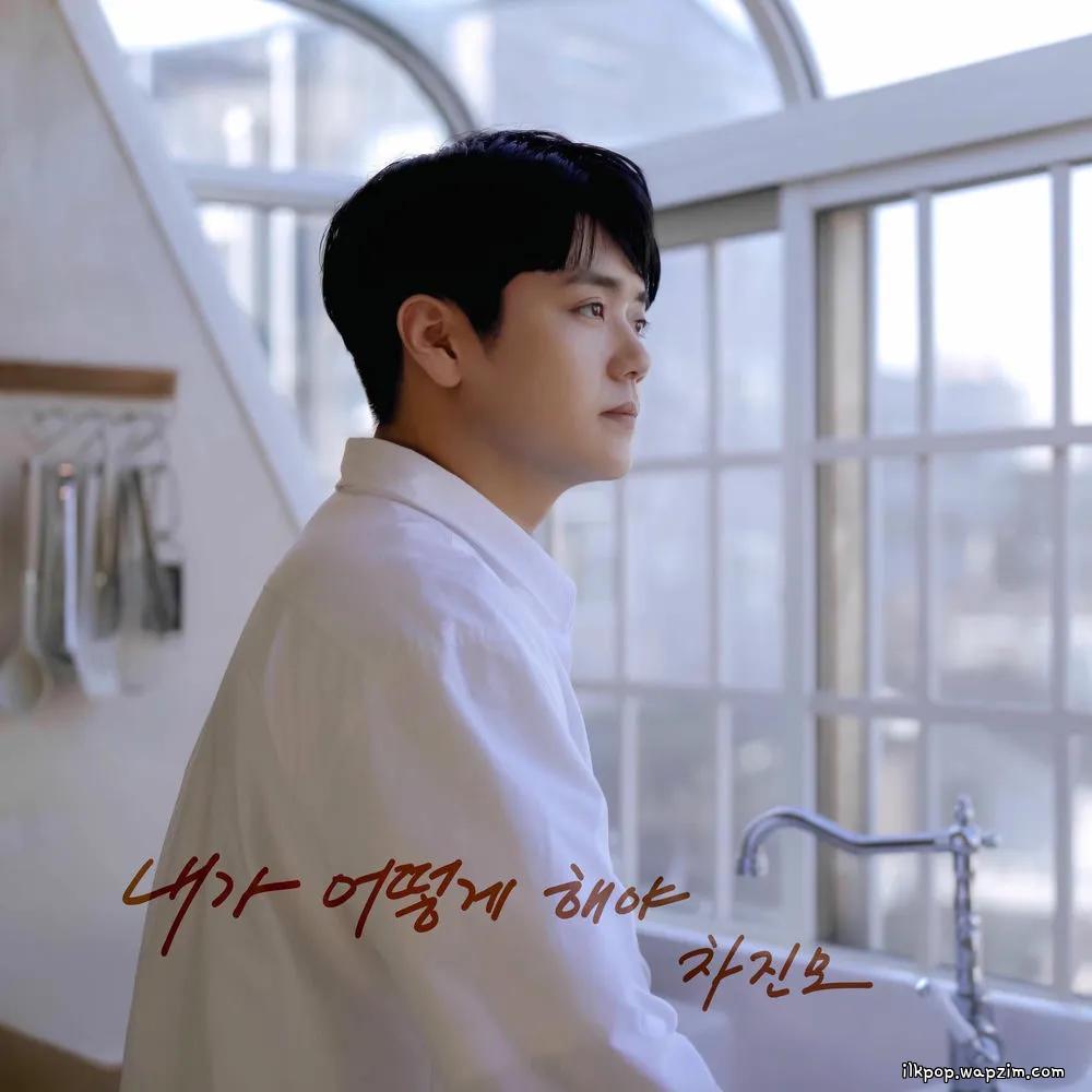 Cha Jin Mo - 내가 어떻게 해야 (What Can I Do for You).mp3