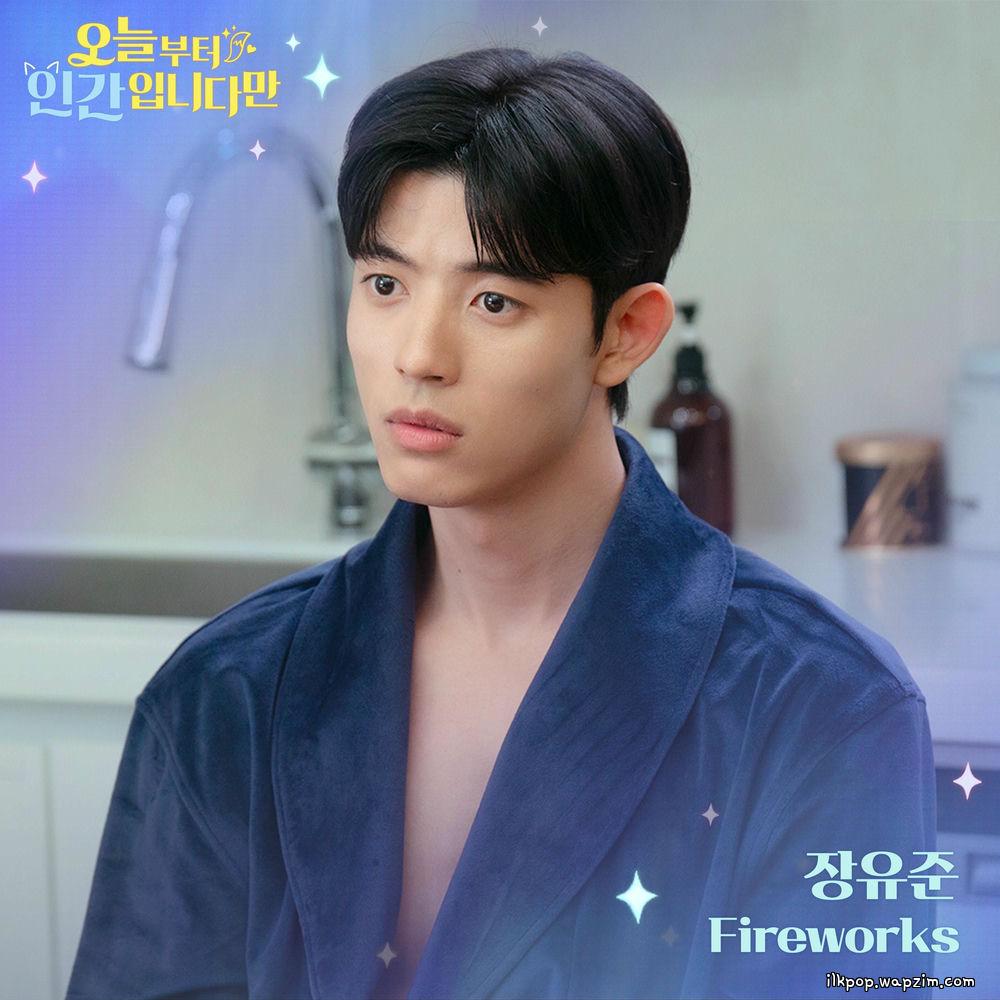 Jang Yoo Joon - Fireworks.mp3