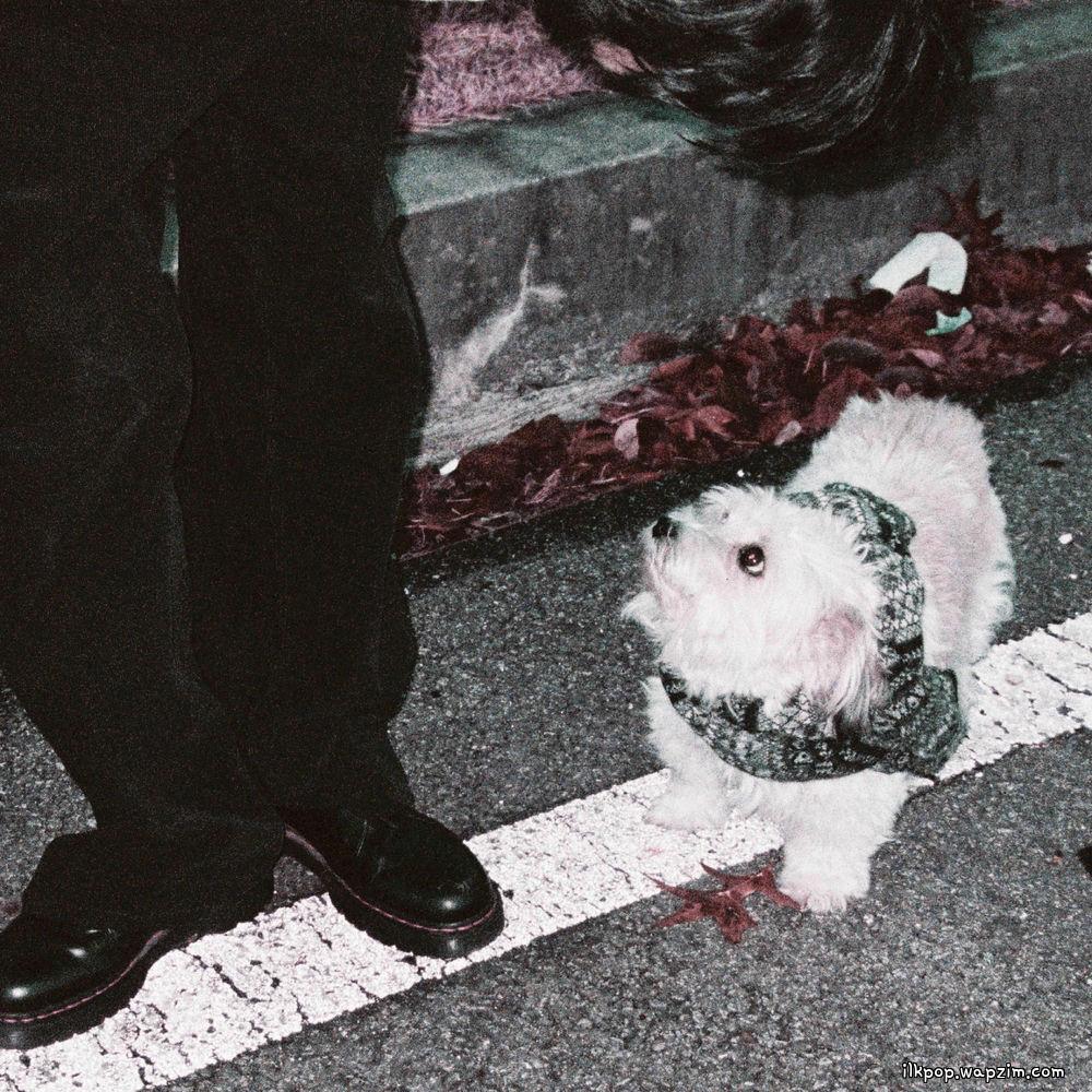 Cloud Koh - 冬に置いてきたもの.mp3