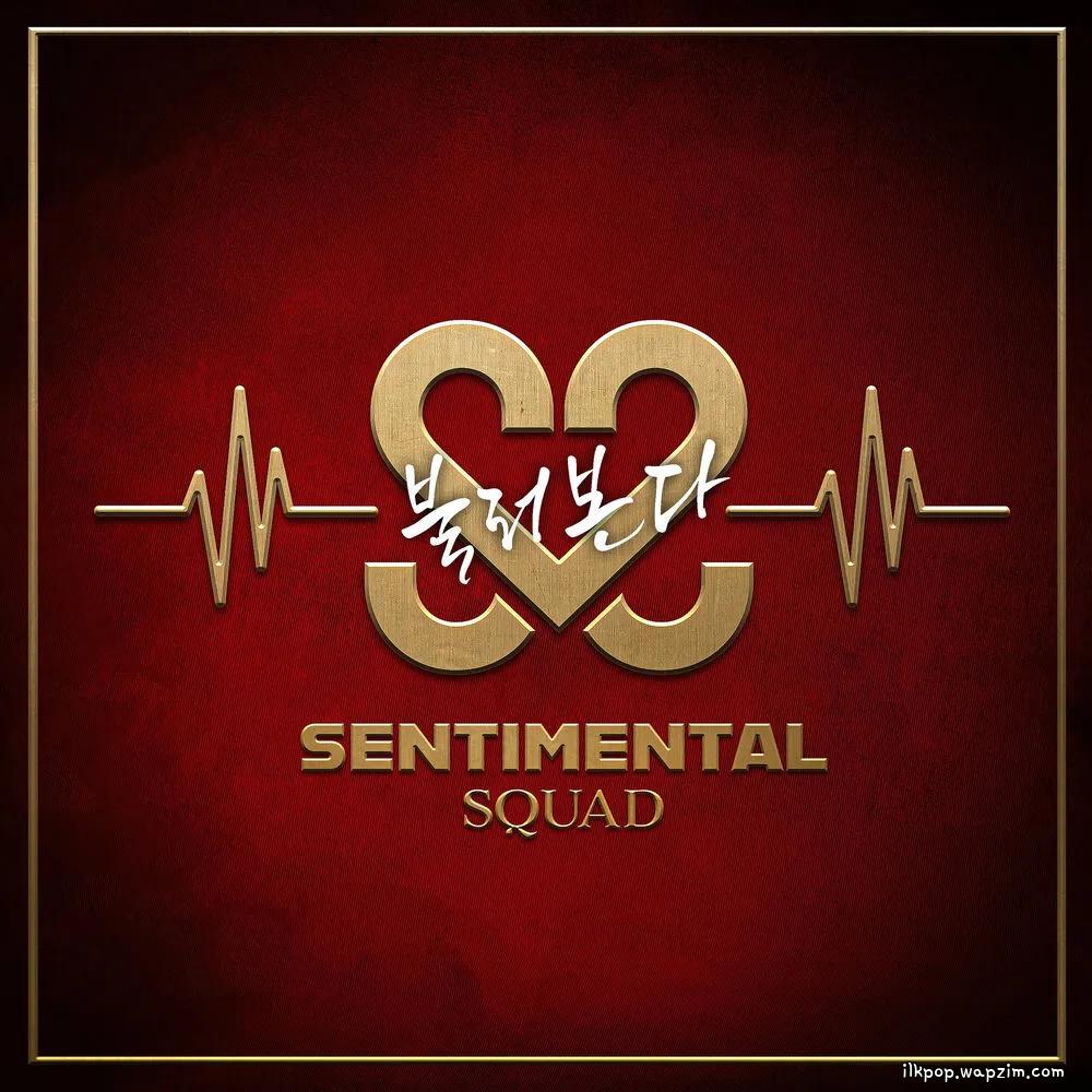Sentimental Squad - 불러본다 (Calling You).mp3