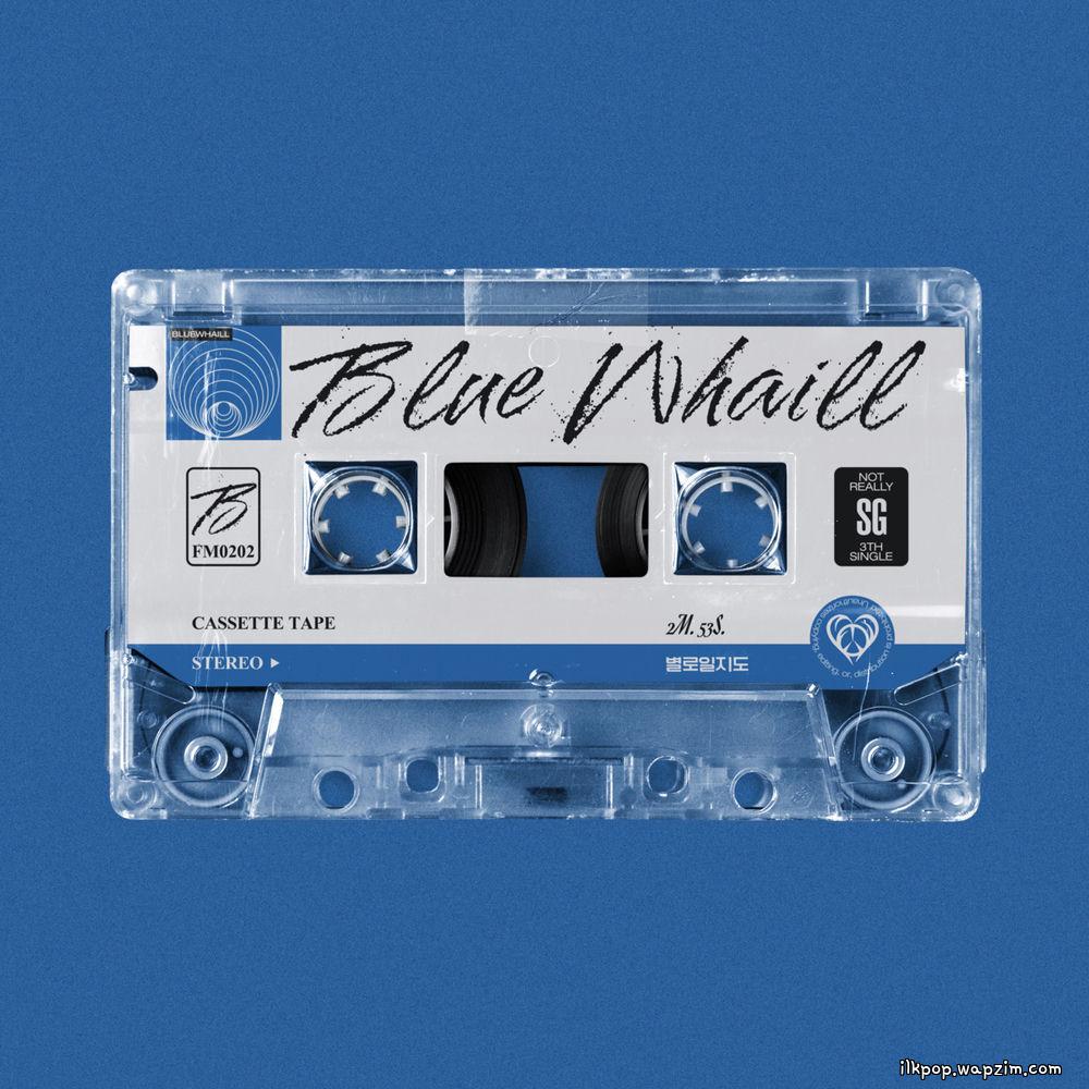BLUE WHAILL - 별로일지도 (Maybe Nothing).mp3