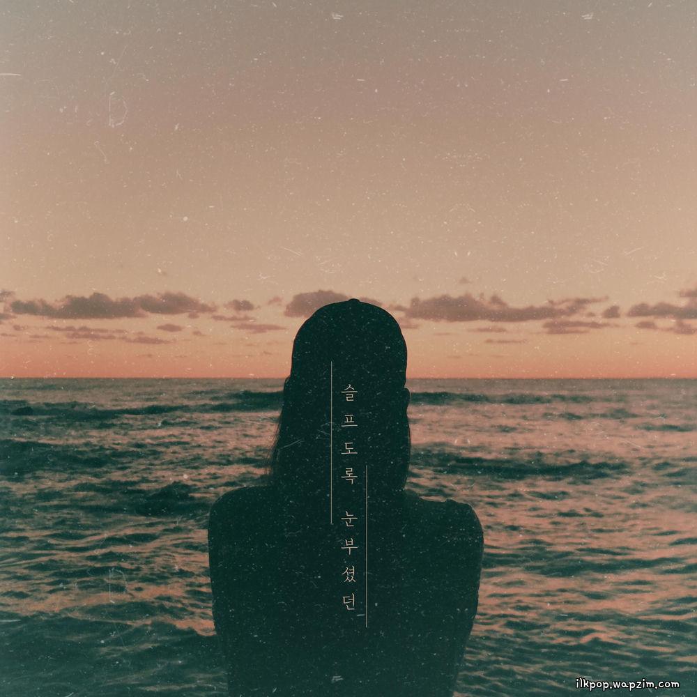 KIM YO BI - 슬프도록 눈부셨던 (Blinded) (feat. Kim Nam Yun).mp3