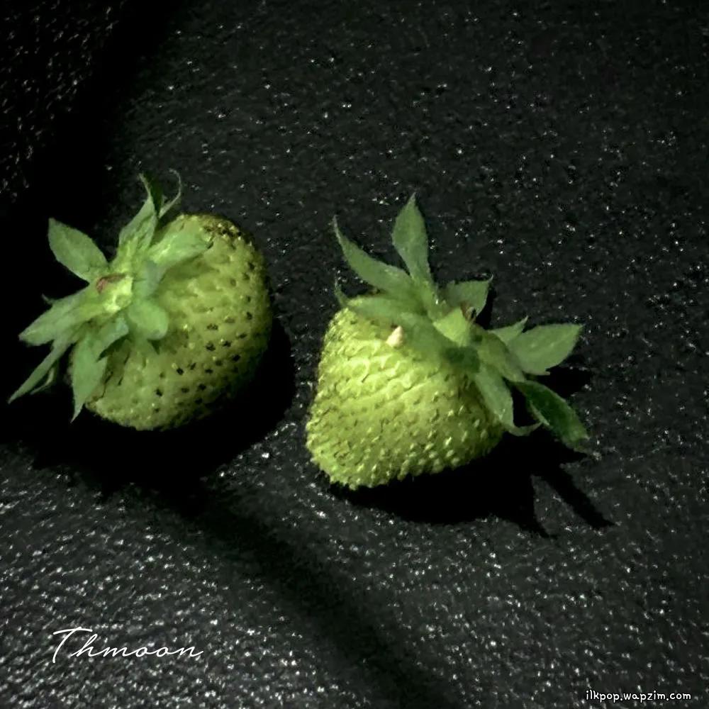 Thmoon - 와인과 후추통 (Wine And Pepper Shaker).mp3