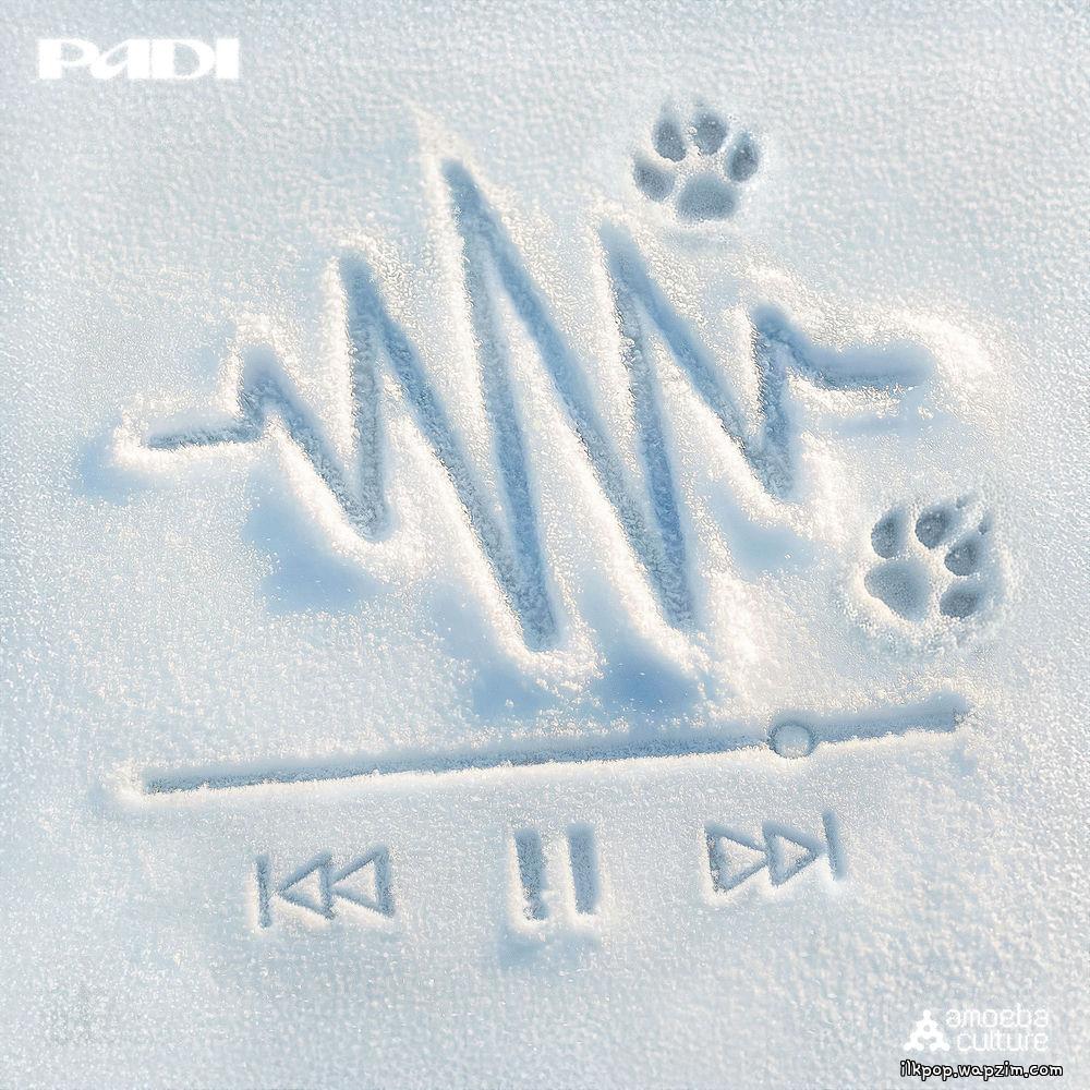 Padi - Never Mind.mp3