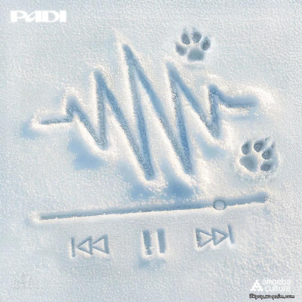 Padi - 너의 나 (In your circle) (Feat. Bumkey, Janet Suhh).mp3