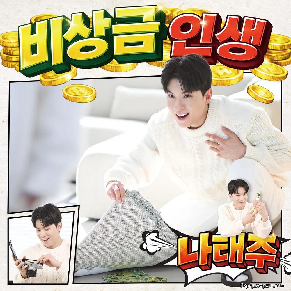 NA TAE JOO - 비상금 인생.mp3