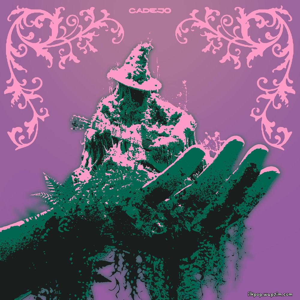 CADEJO - 장중지림 掌中之林 (in your forest).mp3