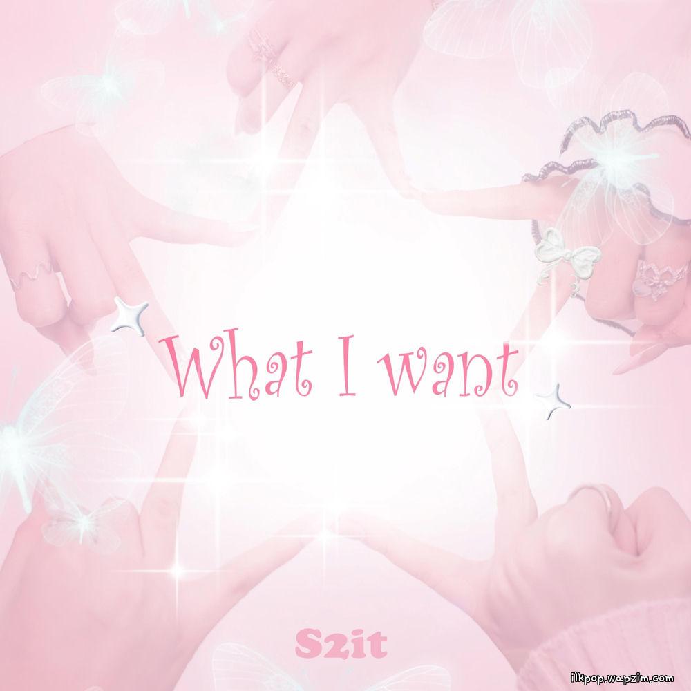 S2IT - What I Want.mp3