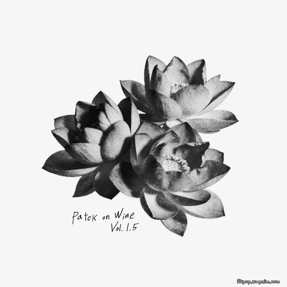 PATEKO & kid wine - 흩날린다 (Drifting).mp3
