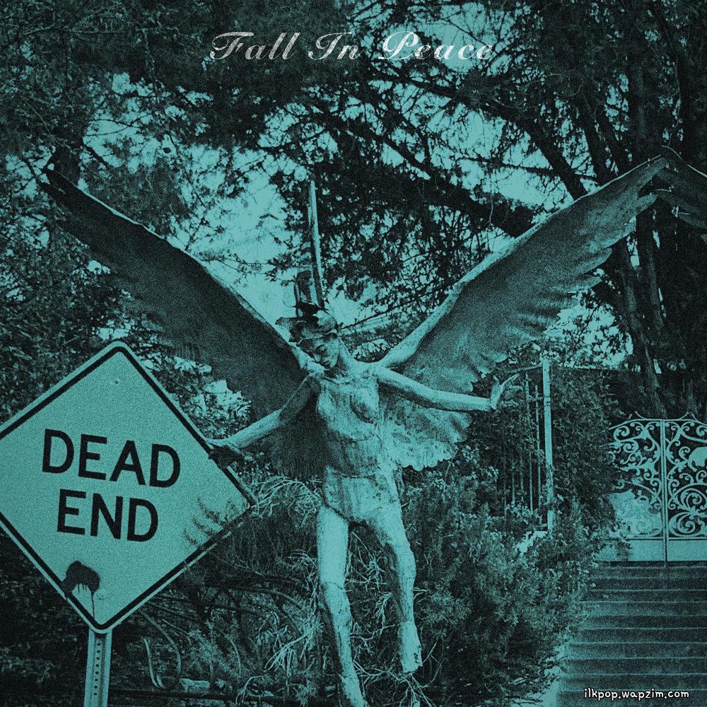 Super Joy Club - Fall In Peace.mp3