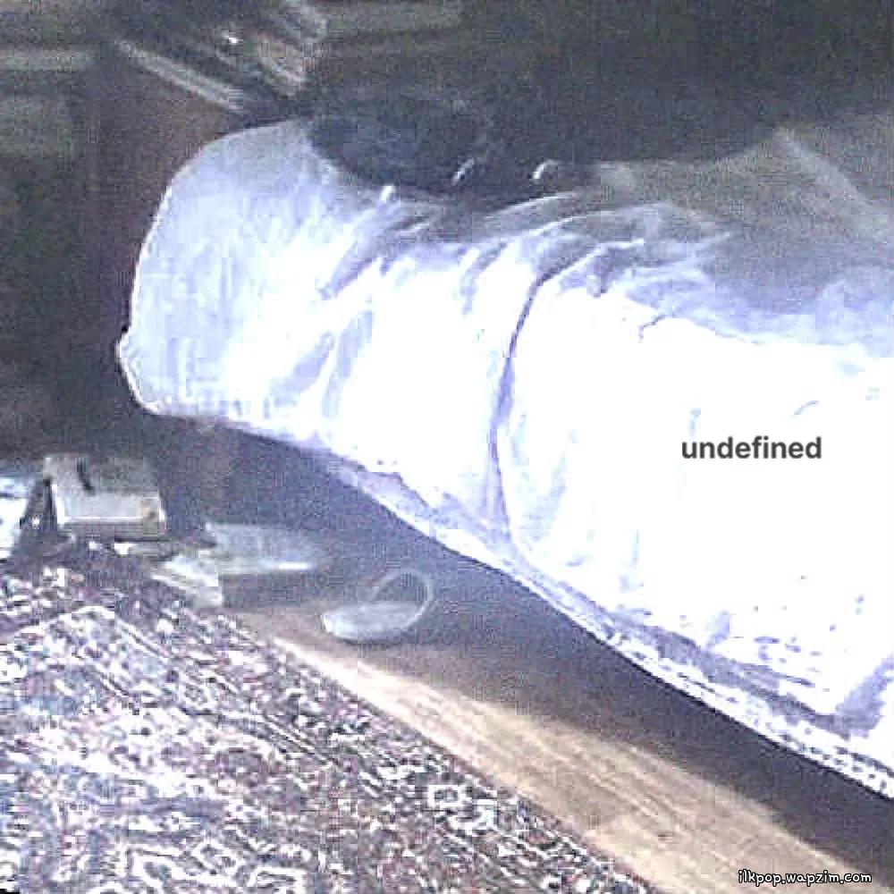 imzoo - undefined.mp3