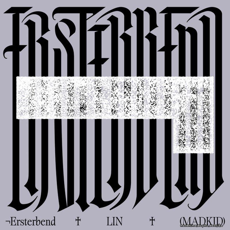 Cover lagu LIN (MADKID) - ¬Ersterbend di Matikiri